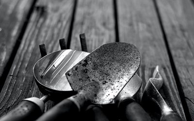 How to Choose The Right Garden Tools.